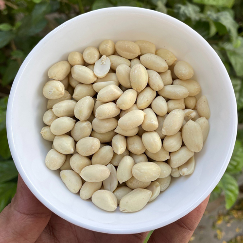 Peanut Blanched Whole - 38/42
