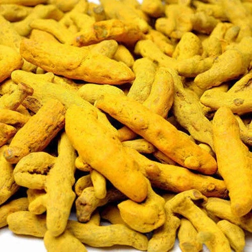 Curcuma Turmeric Finger