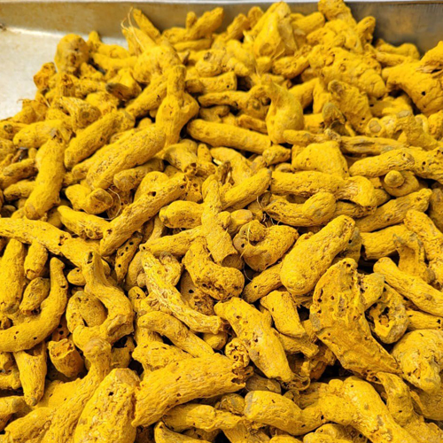 Salem Turmeric Finger